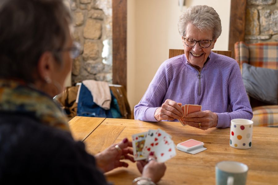 Senior Companion Services